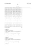 IMMUNOTOXIN FUSION PROTEINS AND MEANS FOR EXPRESSION THEREOF diagram and image