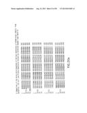 IMMUNOTOXIN FUSION PROTEINS AND MEANS FOR EXPRESSION THEREOF diagram and image