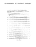 IMMUNOTOXIN FUSION PROTEINS AND MEANS FOR EXPRESSION THEREOF diagram and image