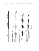 IMMUNOTOXIN FUSION PROTEINS AND MEANS FOR EXPRESSION THEREOF diagram and image