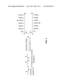 PURIFICATION OF SYNTHETIC OLIGONUCLEOTIDES diagram and image