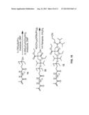 PURIFICATION OF SYNTHETIC OLIGONUCLEOTIDES diagram and image