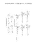 PURIFICATION OF SYNTHETIC OLIGONUCLEOTIDES diagram and image