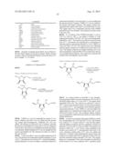 INTERMEDIATES AND METHODS FOR MAKING ZEARALENONE MACROLIDE ANALOGS diagram and image