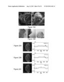 PRODUCTION OF GRAPHENE AND NANOPARTICLE CATALYSTS SUPPORTED ON GRAPHENE     USING MICROWAVE RADIATION diagram and image