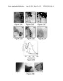 PRODUCTION OF GRAPHENE AND NANOPARTICLE CATALYSTS SUPPORTED ON GRAPHENE     USING MICROWAVE RADIATION diagram and image