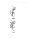 FLUIDIC ADAPTIVE OPTIC FUNDUS CAMERA diagram and image