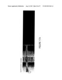 WATERMARK GENERATOR, WATERMARK DECODER, METHOD FOR PROVIDING A WATERMARK     SIGNAL IN DEPENDENCE ON BINARY MESSAGE DATA, METHOD FOR PROVIDING BINARY     MESSAGE DATA IN DEPENDENCE ON A WATERMARKED SIGNAL AND COMPUTER PROGRAM     USING A TWO-DIMENSIONAL BIT SPREADING diagram and image