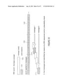 WATERMARK GENERATOR, WATERMARK DECODER, METHOD FOR PROVIDING A WATERMARK     SIGNAL IN DEPENDENCE ON BINARY MESSAGE DATA, METHOD FOR PROVIDING BINARY     MESSAGE DATA IN DEPENDENCE ON A WATERMARKED SIGNAL AND COMPUTER PROGRAM     USING A TWO-DIMENSIONAL BIT SPREADING diagram and image