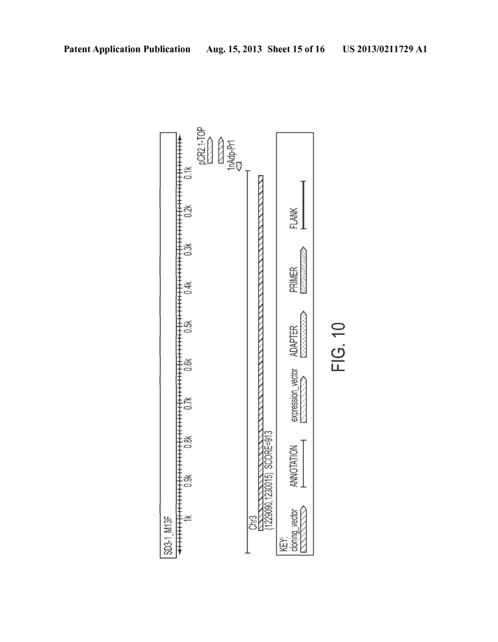 DATA ANALYSIS OF DNA SEQUENCES - diagram, schematic, and image 16