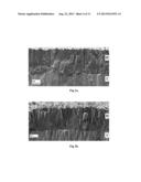 ALUMINA LAYER WITH MULTITEXTURE COMPONENTS diagram and image