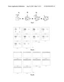 ALUMINA LAYER WITH MULTITEXTURE COMPONENTS diagram and image