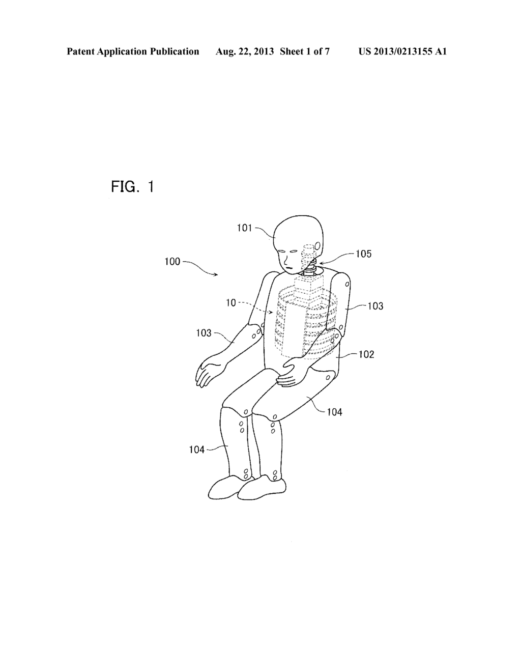 TRUNK SKELETON OF HUMAN BODY DUMMY - diagram, schematic, and image 02