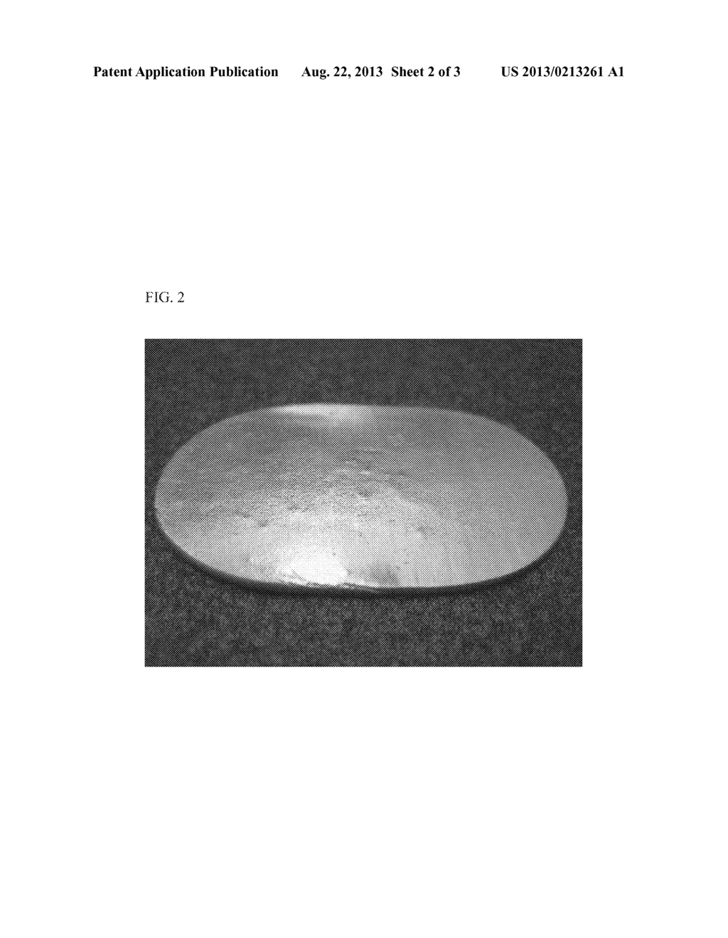 SILVER POWDER FOR SILVER CLAY AND SILVER CLAY INCLUDING SAME SILVER POWDER - diagram, schematic, and image 03