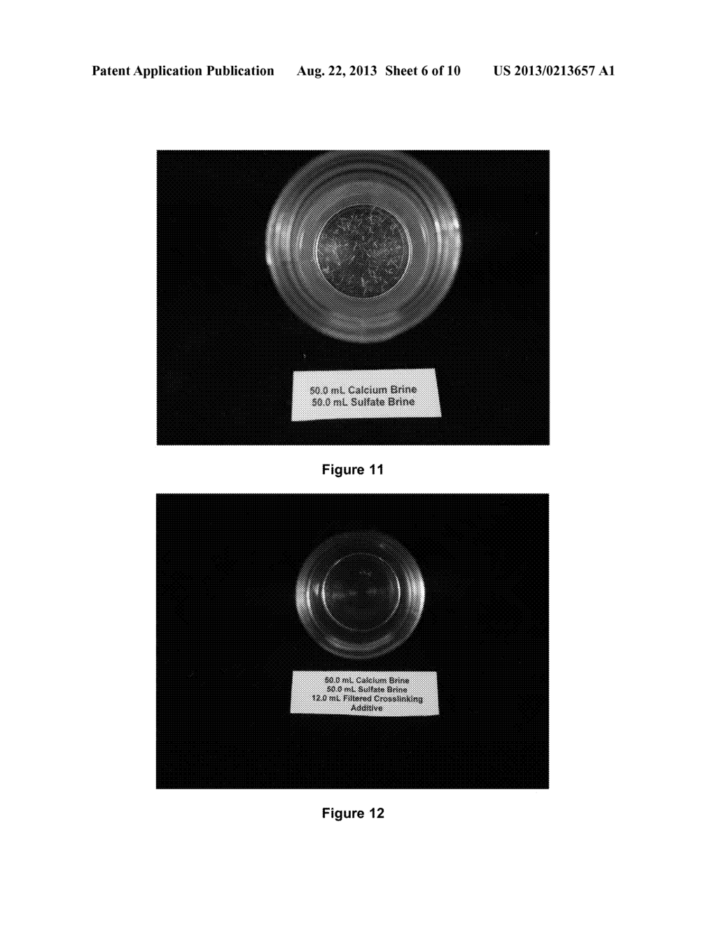 Hybrid Aqueous-Based Suspensions for Hydraulic Fracturing Operations - diagram, schematic, and image 07