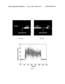 Method of Fabricating a Nanochannel System for DNA Sequencing and     Nanoparticle Characterization diagram and image