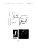 HIGH FLUX HOLLOW FIBER ULTRAFILTRATION MEMBRANES AND PROCESS FOR THE     PREPARATION THEREOF diagram and image