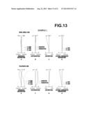 ZOOM LENS AND IMAGE PICKUP APPARATUS diagram and image