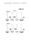 ZOOM LENS AND IMAGE PICKUP APPARATUS diagram and image