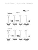 ZOOM LENS AND IMAGE PICKUP APPARATUS diagram and image