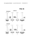 ZOOM LENS AND IMAGE PICKUP APPARATUS diagram and image