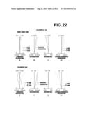 ZOOM LENS AND IMAGE PICKUP APPARATUS diagram and image