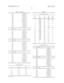 ZOOM LENS AND IMAGE PICKUP APPARATUS diagram and image