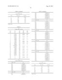 ZOOM LENS AND IMAGE PICKUP APPARATUS diagram and image