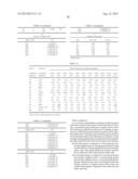 ZOOM LENS AND IMAGE PICKUP APPARATUS diagram and image