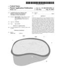 Underwater Image Projection Display System and Lighting Control System And     Device diagram and image