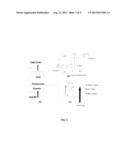 ORGANIC/INORGANIC HYBRID OPTICAL AMPLIFIER WITH WAVELENGTH CONVERSION diagram and image