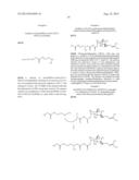 Polymer-Conjugated MetAP2 inhibitors, and Therapeutic Methods of Use     Thereof diagram and image