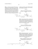 Polymer-Conjugated MetAP2 inhibitors, and Therapeutic Methods of Use     Thereof diagram and image