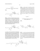 Polymer-Conjugated MetAP2 inhibitors, and Therapeutic Methods of Use     Thereof diagram and image