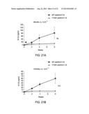 THERAPEUTIC METHODS BASED ON TYROSINE-SUBSTITUTED, CAPSID-MODIFIED RAAV     VECTORS diagram and image