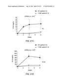 THERAPEUTIC METHODS BASED ON TYROSINE-SUBSTITUTED, CAPSID-MODIFIED RAAV     VECTORS diagram and image