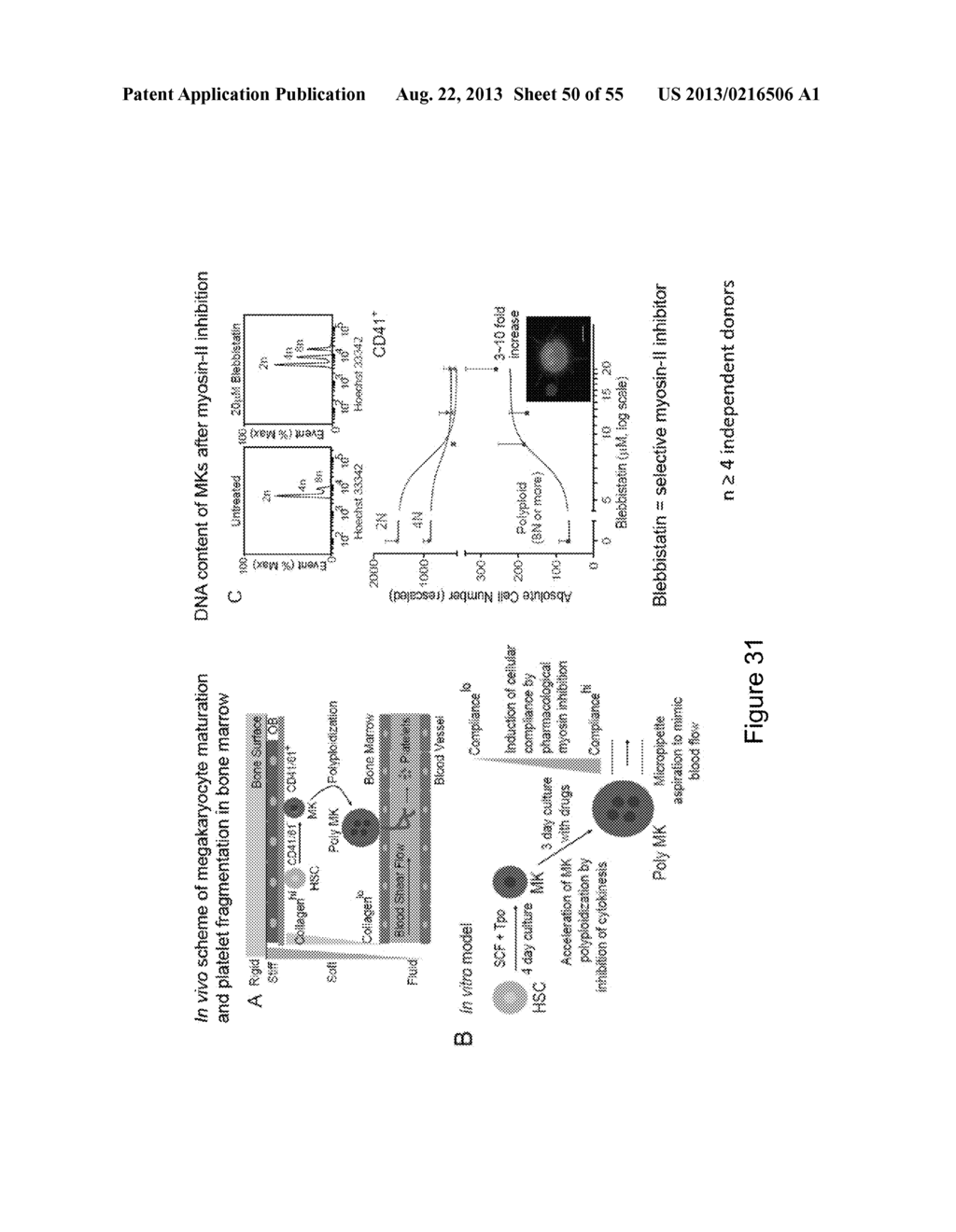 Bioreactor for Isolation of Rare Cells and Methods of Use - diagram, schematic, and image 51