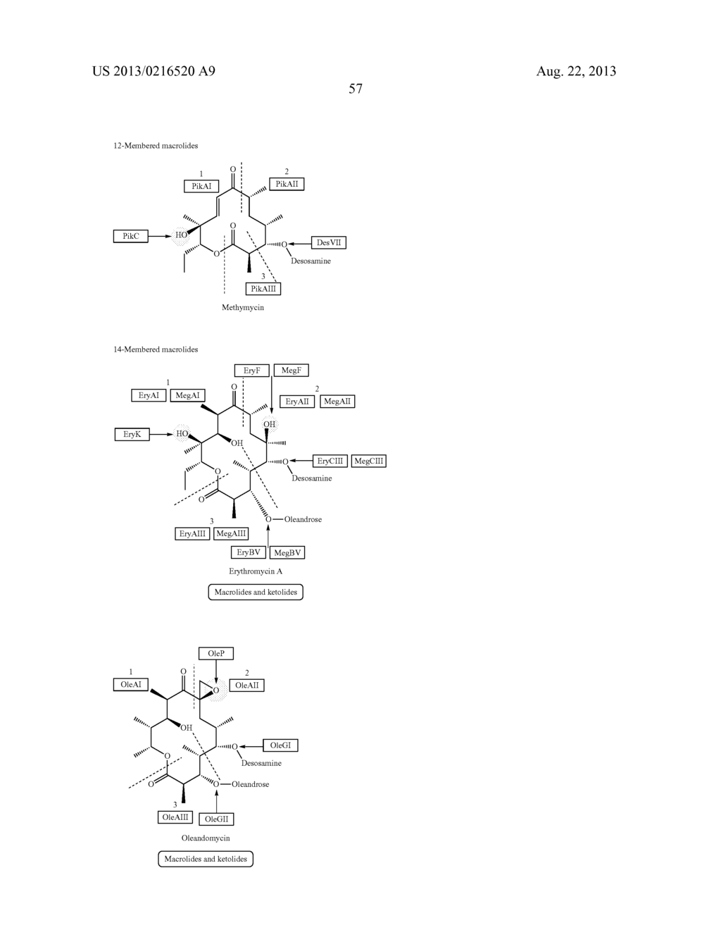 PROCESSING BIOMASS - diagram, schematic, and image 102