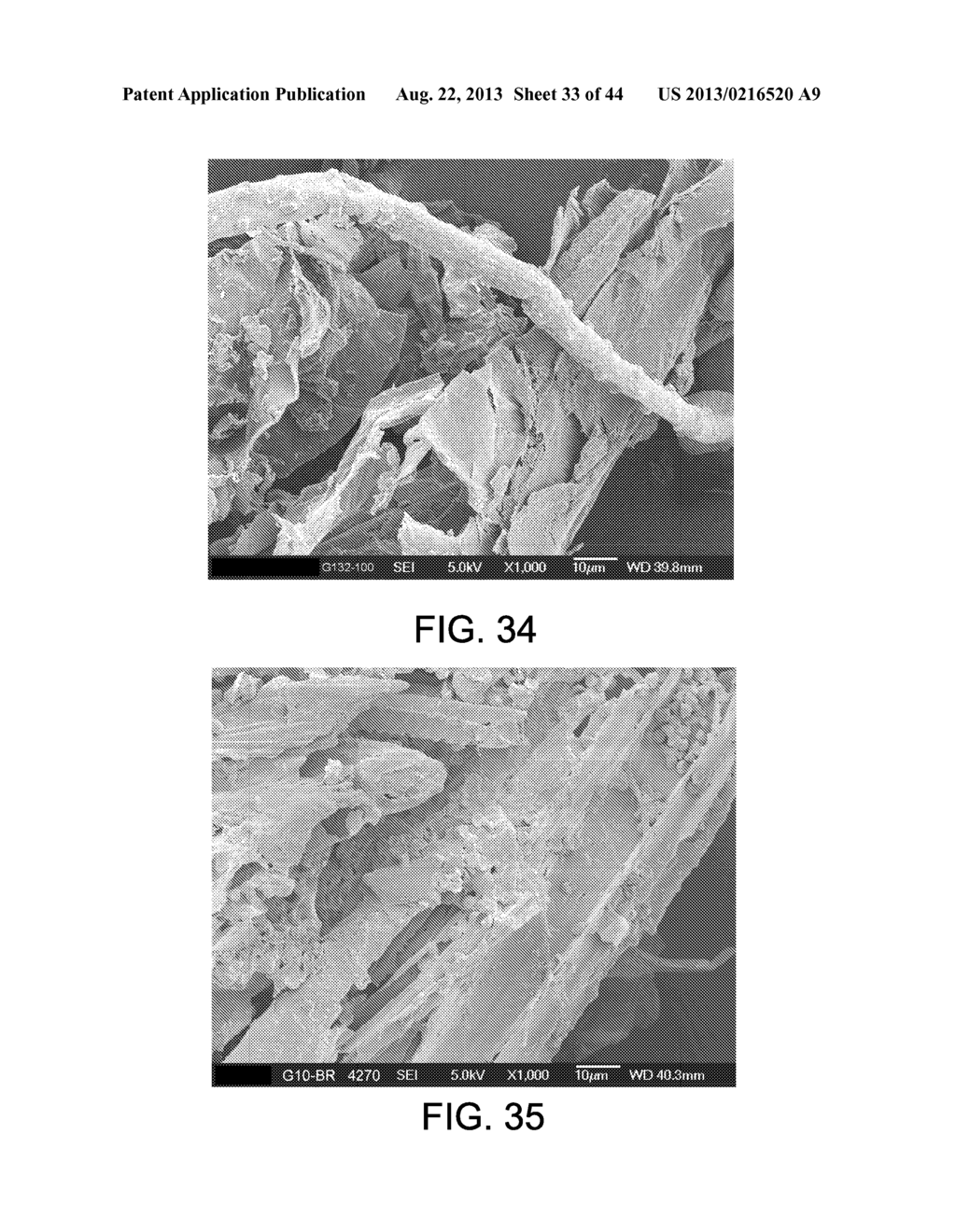 PROCESSING BIOMASS - diagram, schematic, and image 34