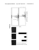 BIOLOGICAL MARKERS FOR IDENTIFYING PATIENTS FOR TREATMENT WITH VEGF     ANTAGONISTS diagram and image