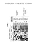 BIOLOGICAL MARKERS FOR IDENTIFYING PATIENTS FOR TREATMENT WITH VEGF     ANTAGONISTS diagram and image