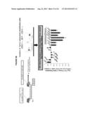 BIOLOGICAL MARKERS FOR IDENTIFYING PATIENTS FOR TREATMENT WITH VEGF     ANTAGONISTS diagram and image