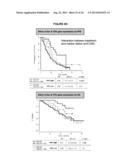 BIOLOGICAL MARKERS FOR IDENTIFYING PATIENTS FOR TREATMENT WITH VEGF     ANTAGONISTS diagram and image