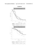 BIOLOGICAL MARKERS FOR IDENTIFYING PATIENTS FOR TREATMENT WITH VEGF     ANTAGONISTS diagram and image