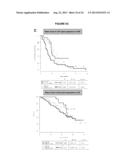 BIOLOGICAL MARKERS FOR IDENTIFYING PATIENTS FOR TREATMENT WITH VEGF     ANTAGONISTS diagram and image