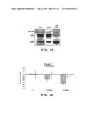 INHIBITORS OF EXTRACELLULAR HSP90 diagram and image