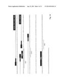 Anti-La antibodies and their use for immunotargeting diagram and image