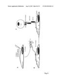 Anti-La antibodies and their use for immunotargeting diagram and image