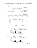 Anti-La antibodies and their use for immunotargeting diagram and image