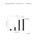 Anti-La antibodies and their use for immunotargeting diagram and image